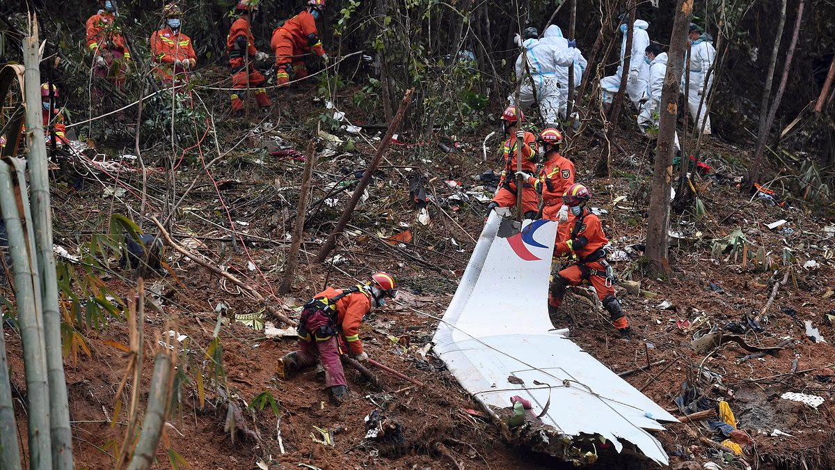 Beijing 'covered up plane suicide crash that killed all 132 on board'