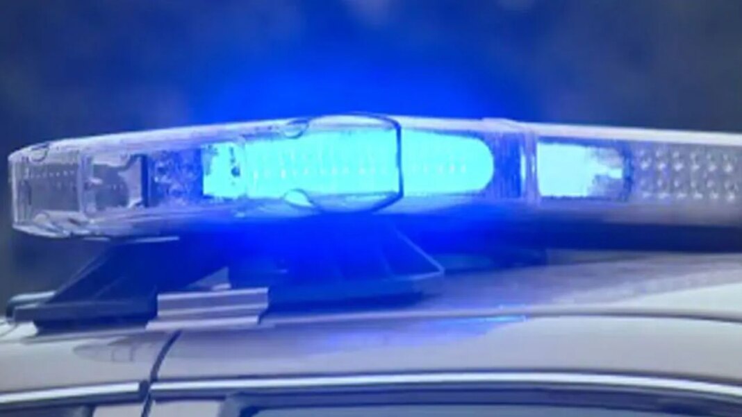 Berkeley County woman killed by airborne umbrella at Lake Marion restaurant