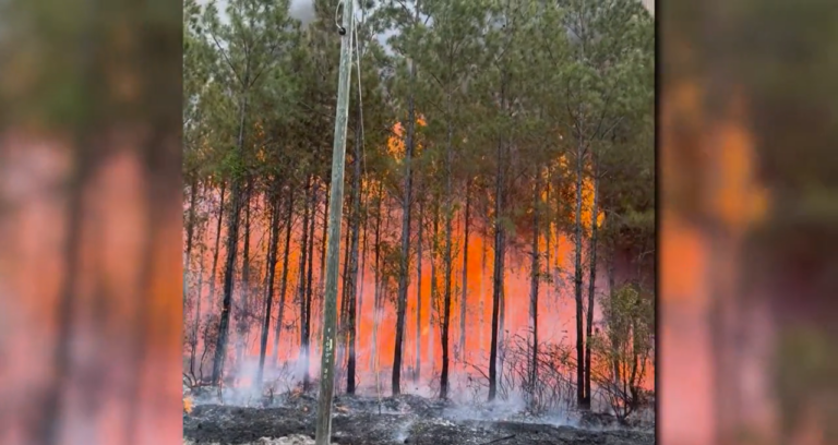 Brantley County Fire Containment Reaches 90%: Progress and Safety Updates