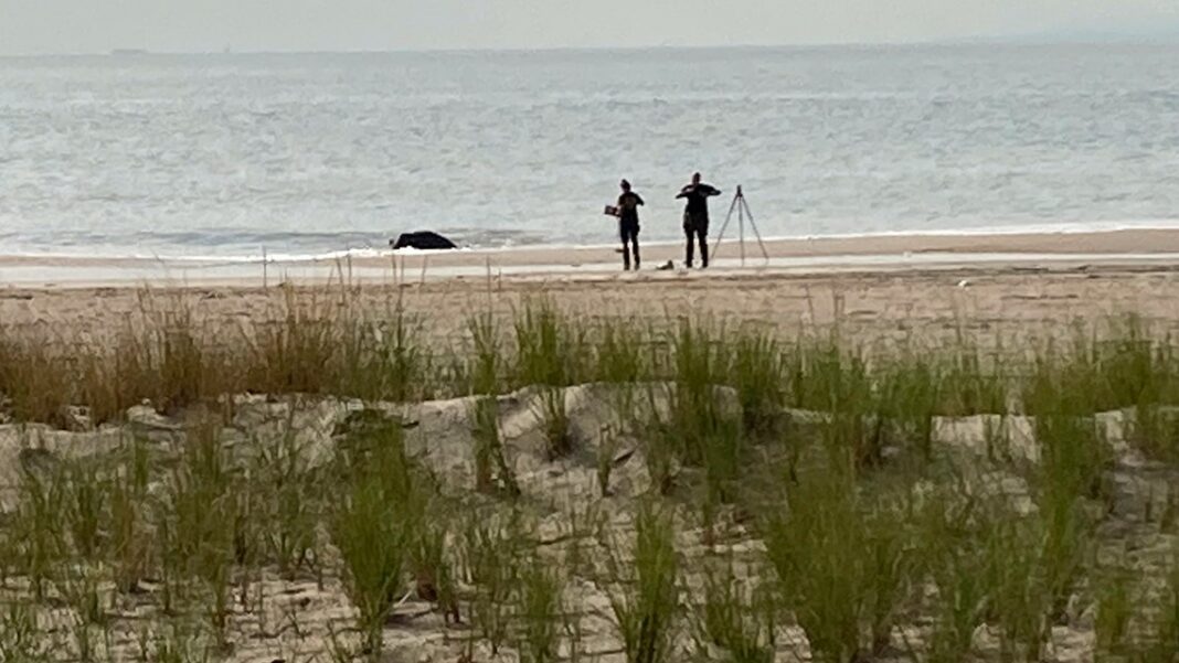 Brooklyn woman sentenced for drowning her 3 kids on Coney Island beach