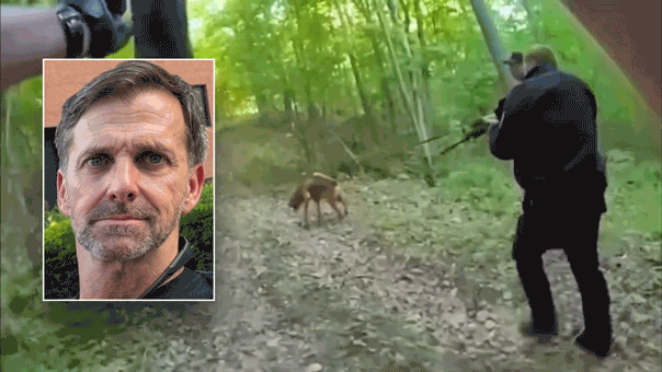 Craig Berry and GIF of manhunt