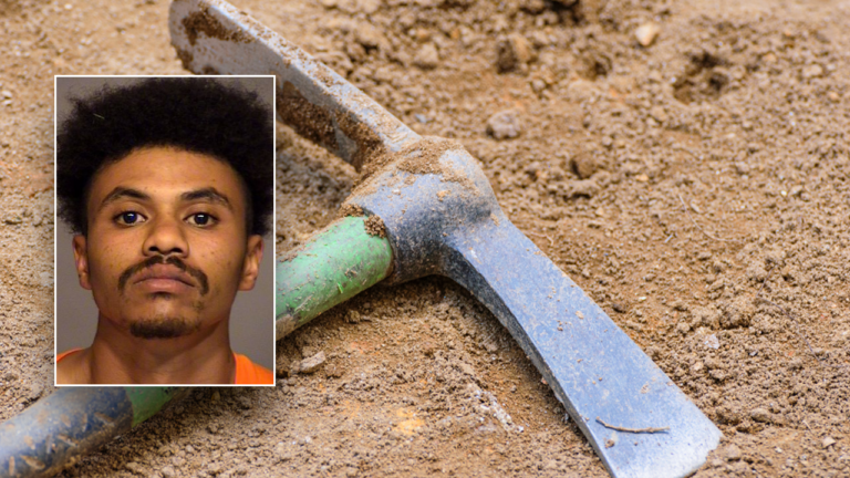 California Resident Receives Prison Sentence for Fatal Pickaxe Attack on Teen Brother with Cerebral Palsy