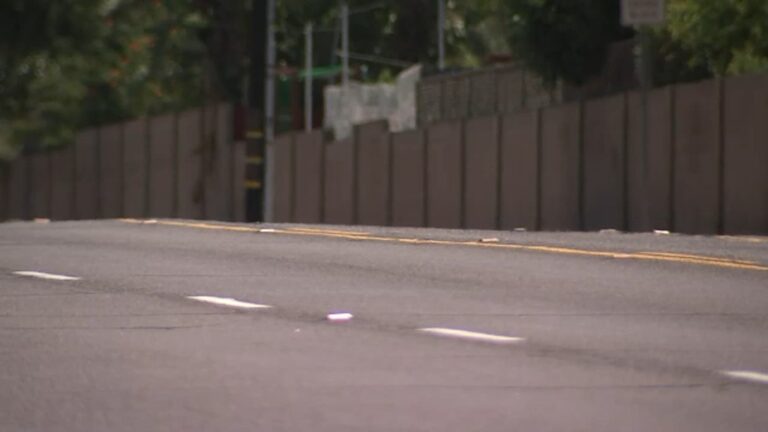 California Mom Faces Involuntary Manslaughter Charges After Fatal E-Motorcycle Collision Claims Elderly Man’s Life