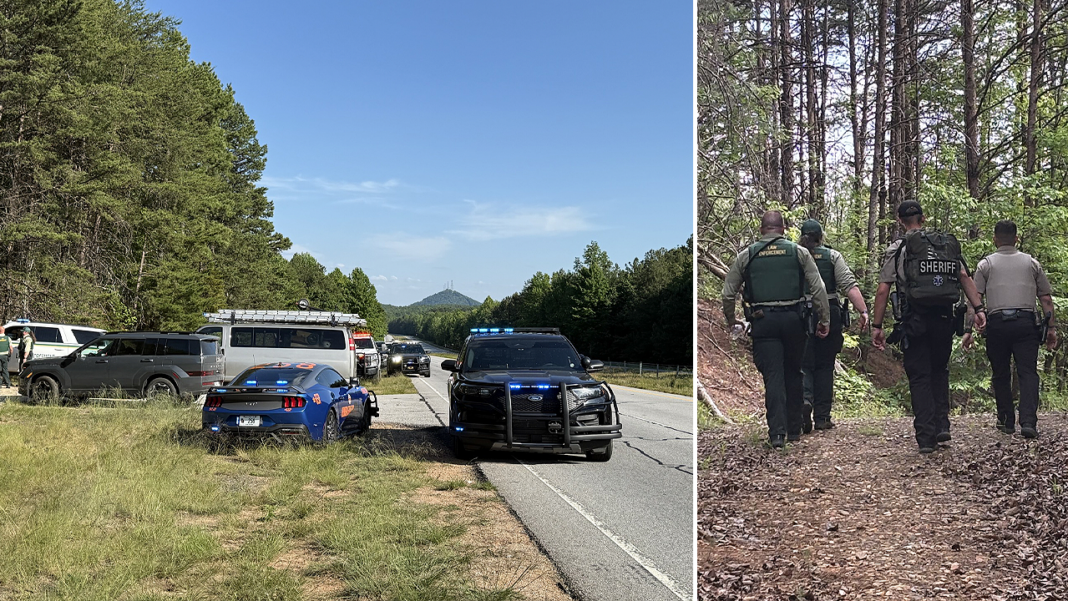 Cartel creep among 25 illegal immigrants caught turning scenic forests into lawless hideouts, police say