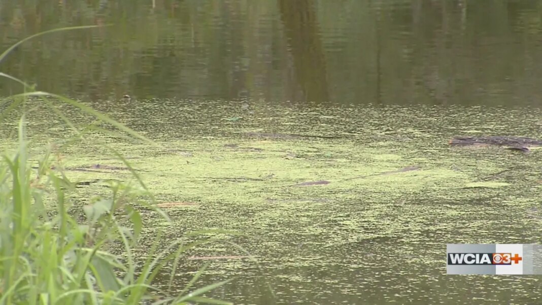 City of Mattoon creates Watershed Committee