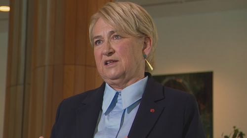 Greens Senator Barbara Pocock at Parliament House today.