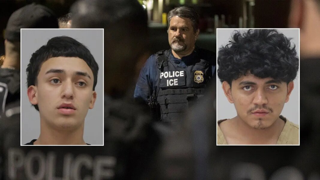 DHS rails against illegal aliens hit with capital murder charges for allegedly killing unborn baby: 'monsters'