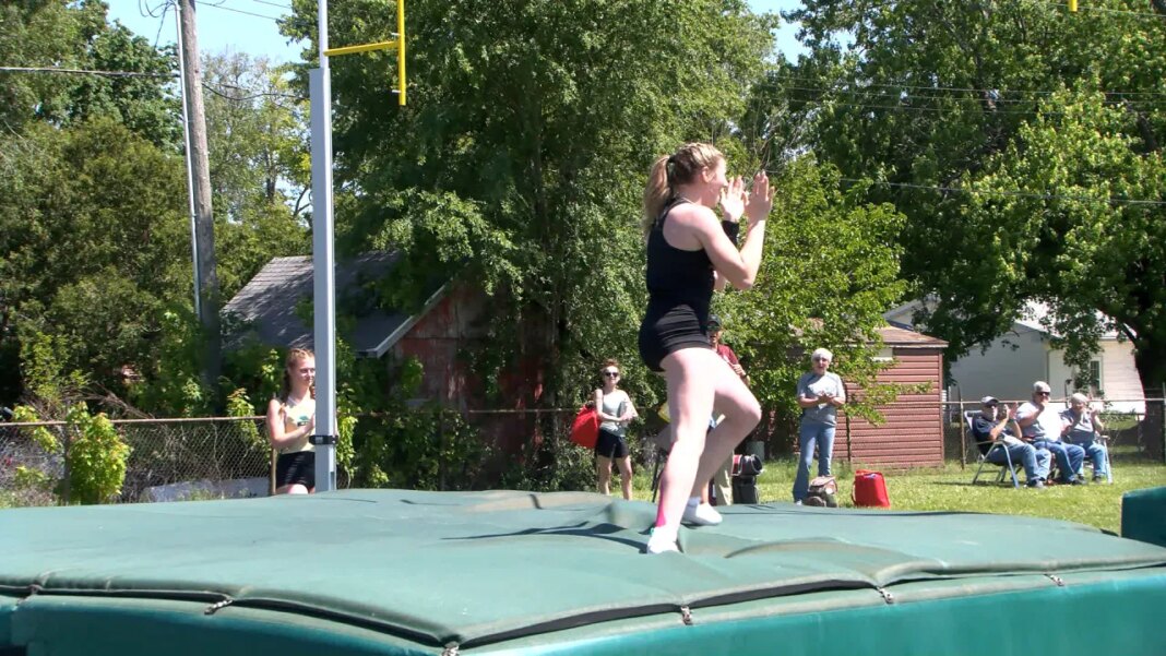 Danville’s Brown leading Vikings to state in four events