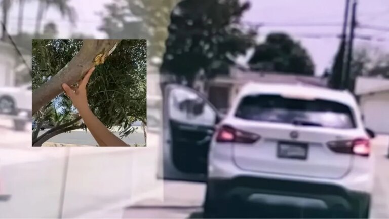 Shocking Dashcam Footage: Suspects in Islamic Center Case Caught Firing at Landscape Worker