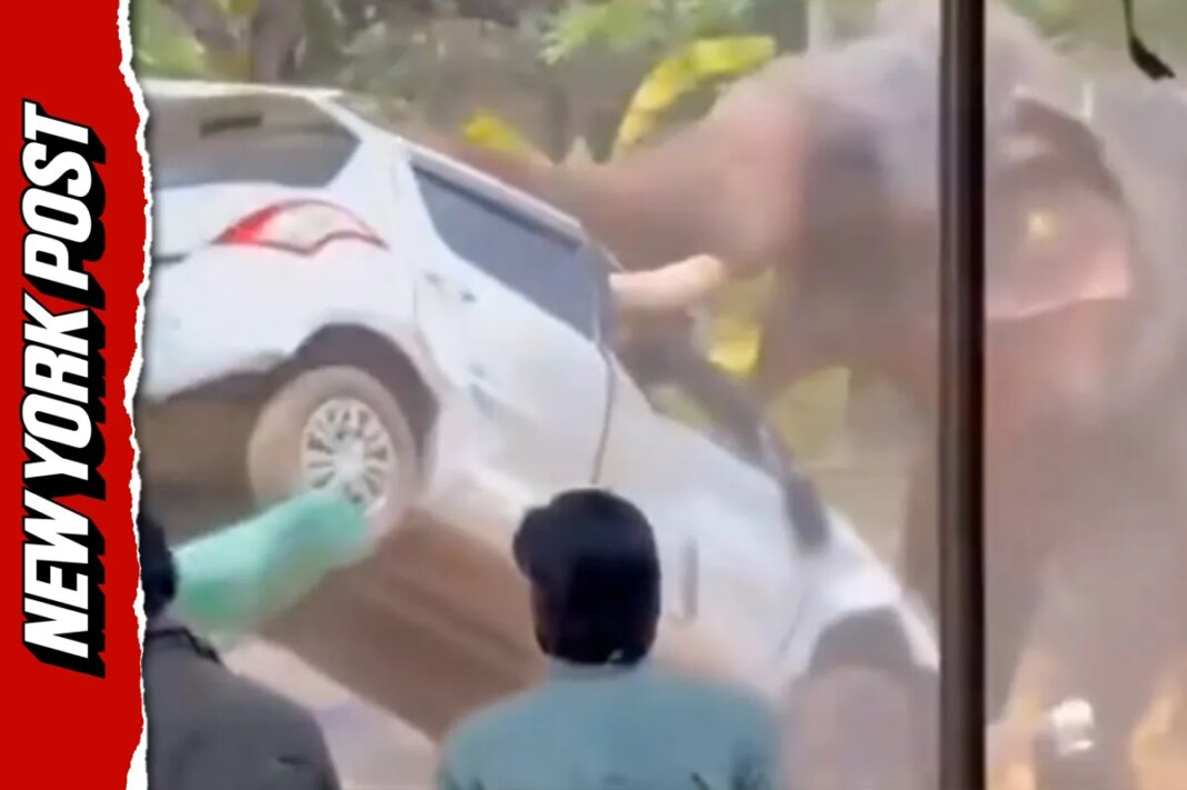 Elephant goes on a deadly rampage at temple festival in India, killing one (Video)