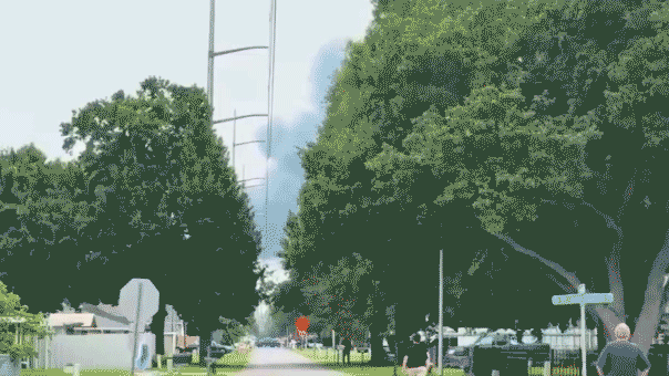 Smoke between trees