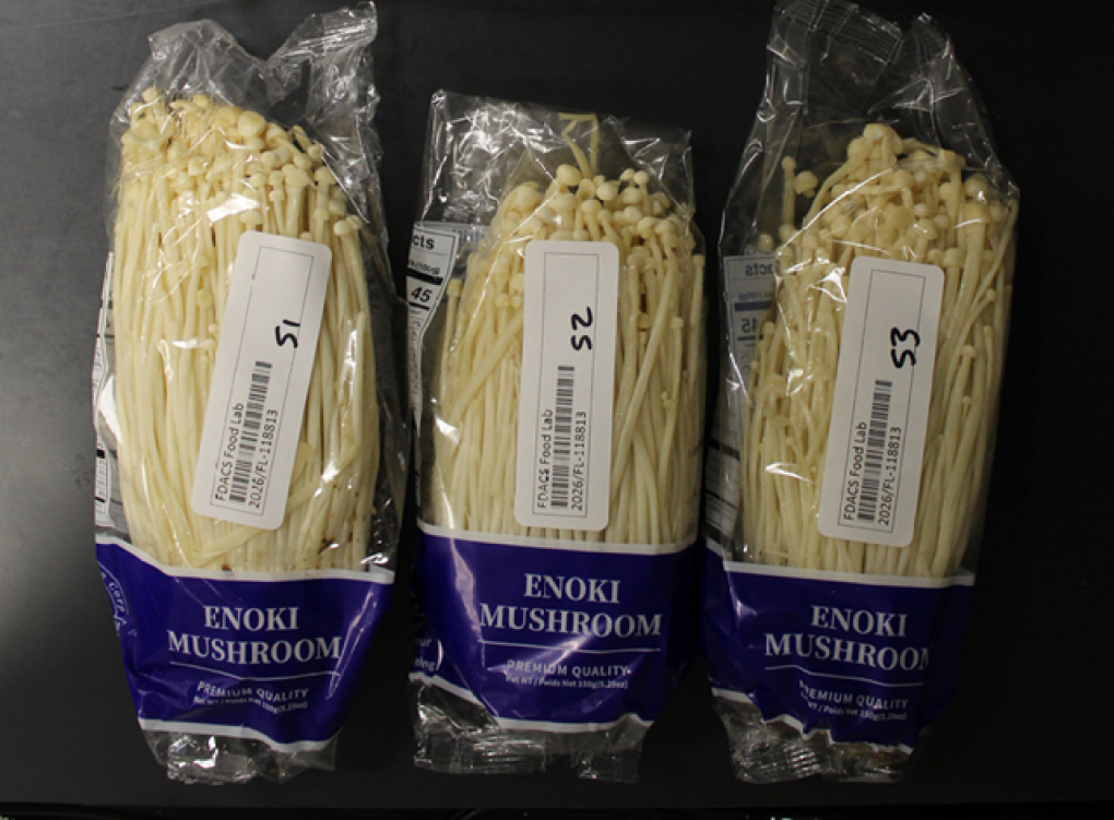 Enoki mushrooms sold in Florida recalled over potential listeria contamination