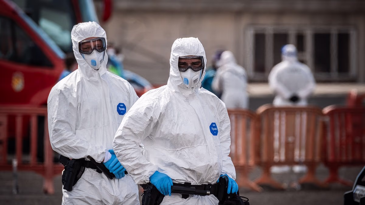 Evacuation of rat virus cruise FINALLY under way despite protests
