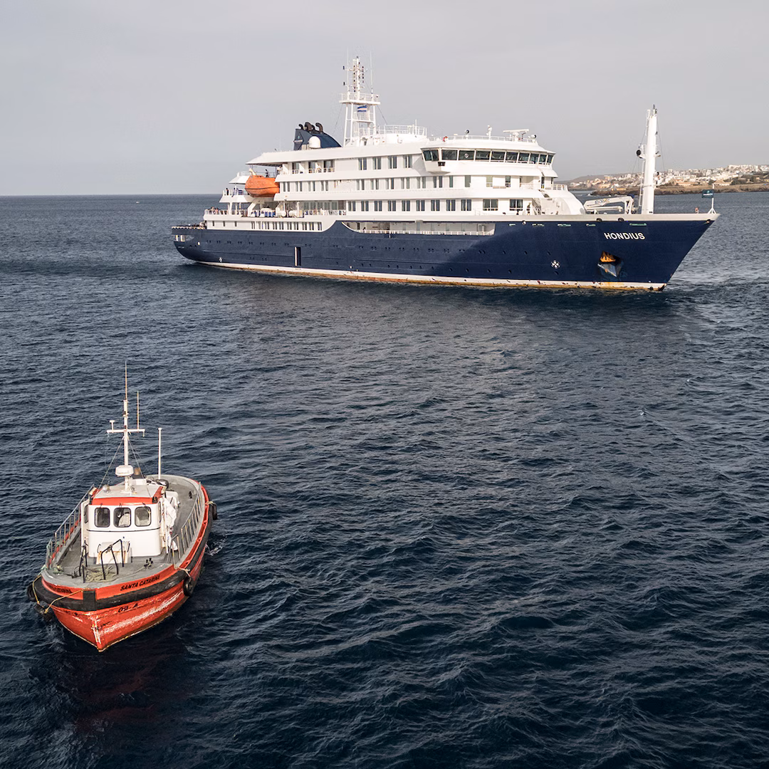 Everything to Know About Deadly Hantavirus Cruise Ship Outbreak