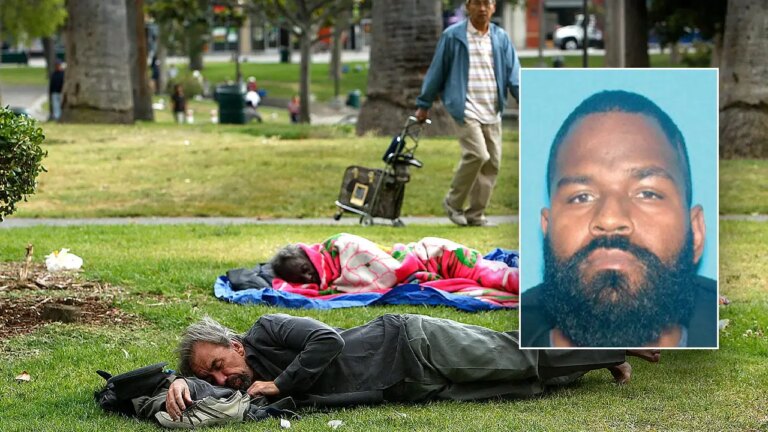Taxpayer-Funded Nonprofit Ex-Employee Arrested for Fentanyl Distribution Near LA Park: Court Documents Reveal
