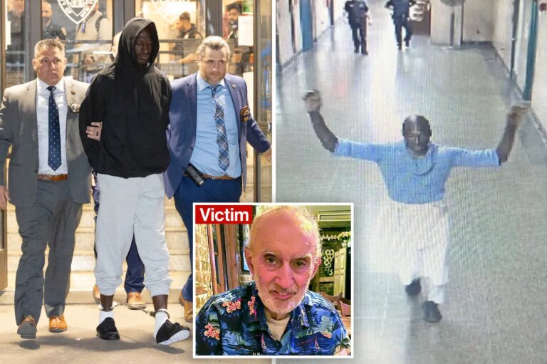 Subway Shove Suspect Faces NYC Court Twice in One Day: Unveiling the Legal Tangle