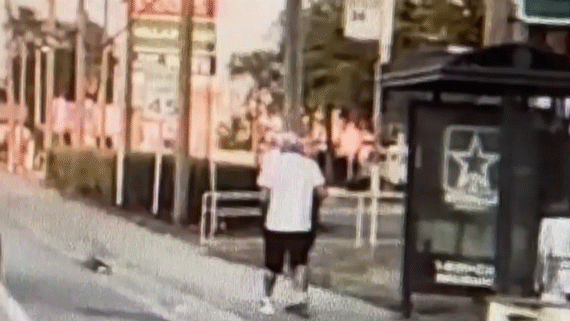 Florida man in 'No Christ No Life' T-shirt caught on video allegedly attacking, robbing woman, 82, at bus stop