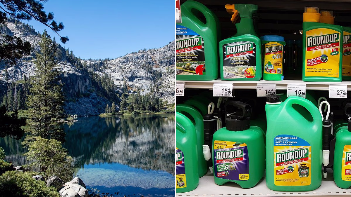 Forest town fury as toxic spray planned over thousands of acres nearby