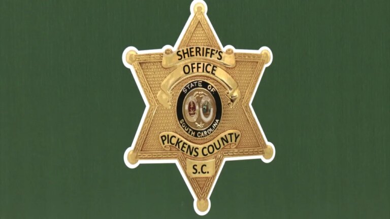 Ex-Pickens County Deputy Faces Charges for DUI and Hit-and-Run Incident