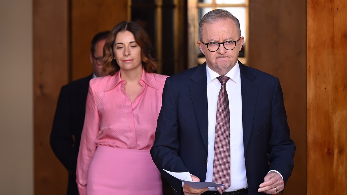 Former Treasury economist warns Australia faces biggest housing market correction in 40 years amid rate hikes and recession fears