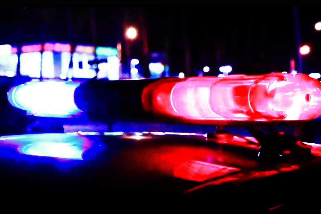 Girl calls 911 after Polk County mom mauled by dog she was fostering
