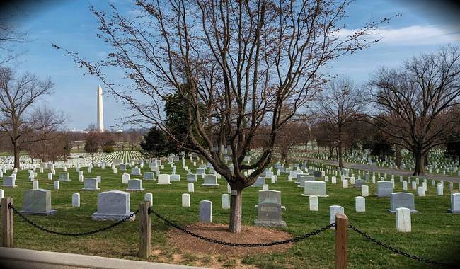 Gold Star Wife Asked for Photos of Her Husband's Arlington Cemetery Grave — and Then the Magic Happened