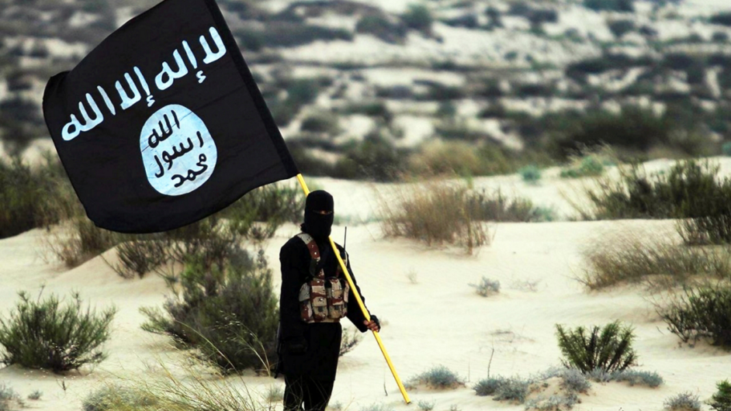 ISIS terror leader at large after US strike kills top commander amid rising Africa threat: analyst