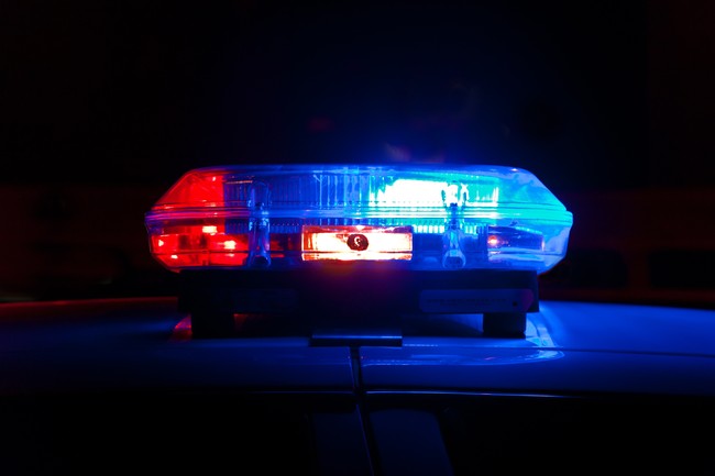 Illegal Immigrant Charged After Deadly Long Island Stabbing Rampage