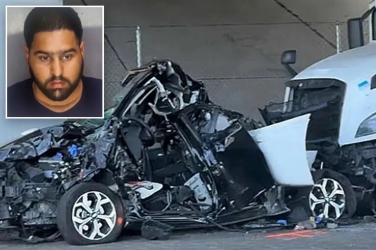 California Hit-and-Run: Truck Driver Manvir Singh Arrested After Fatal Incident
