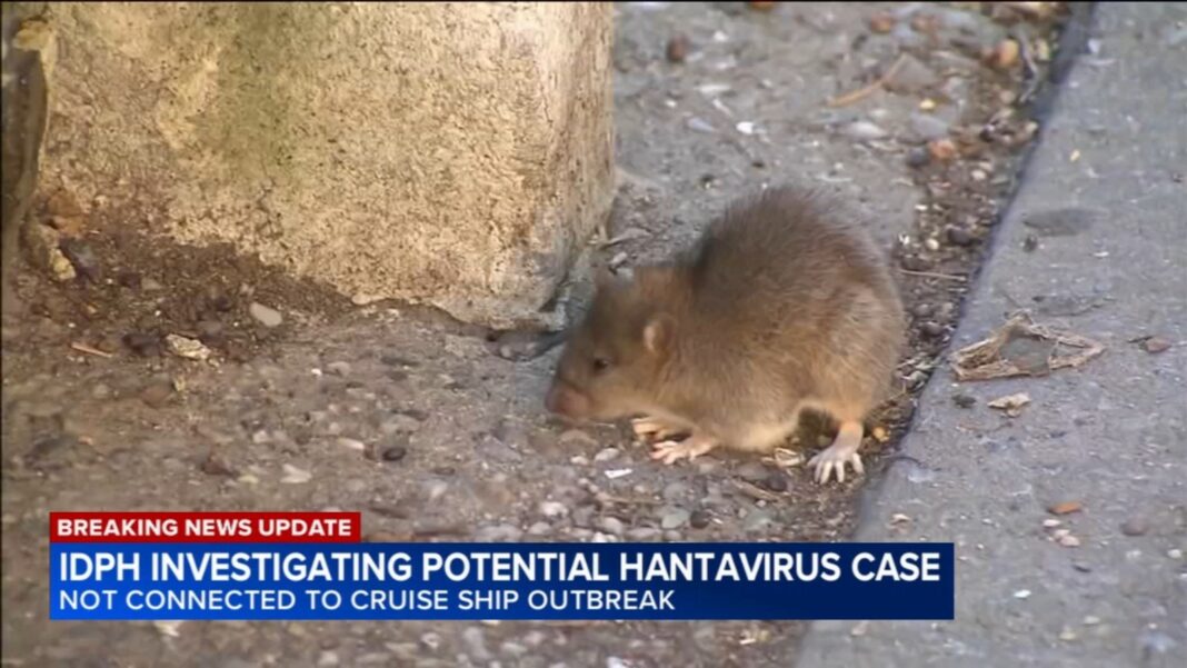 Is hantavirus in Illinois in 2026? IDPH investigating potential case in Winnebago County, IL not linked to cruise ship outbreak