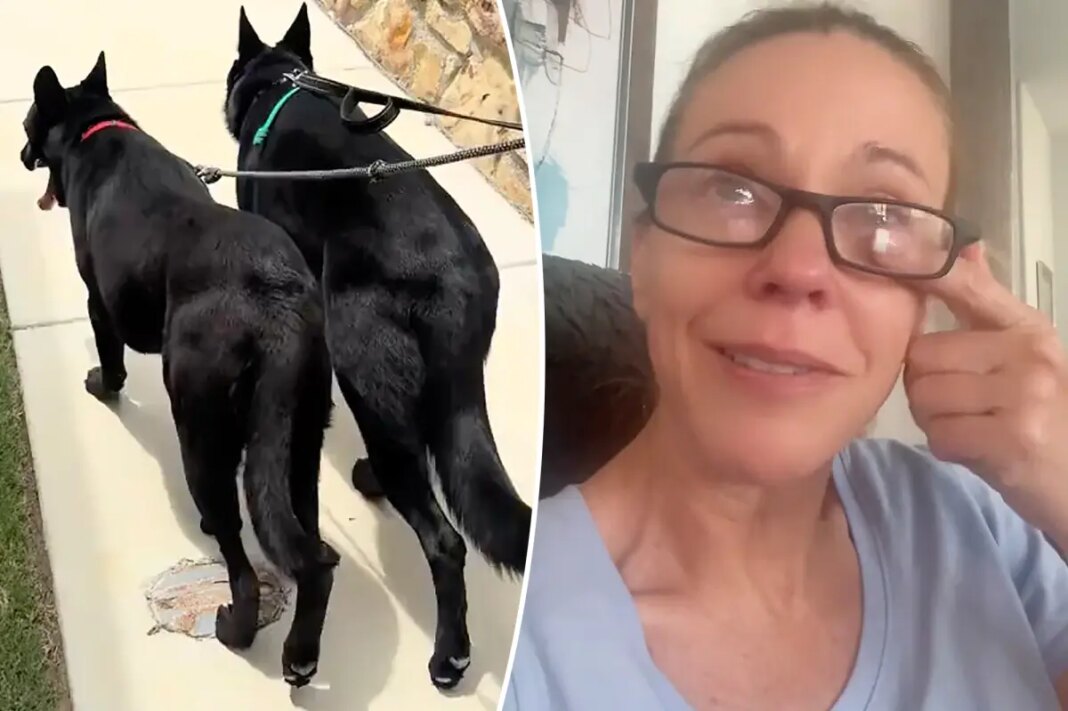 Kate Gosselin breaks down over 'strain' of adopting rescue dog in tearful TikTok