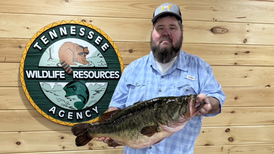 Largemouth Bass caught near Chattanooga sets new state record