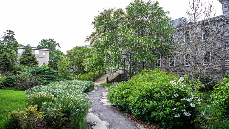 Liberal Arts College Removes Professor’s Name from Hall Amid Controversy