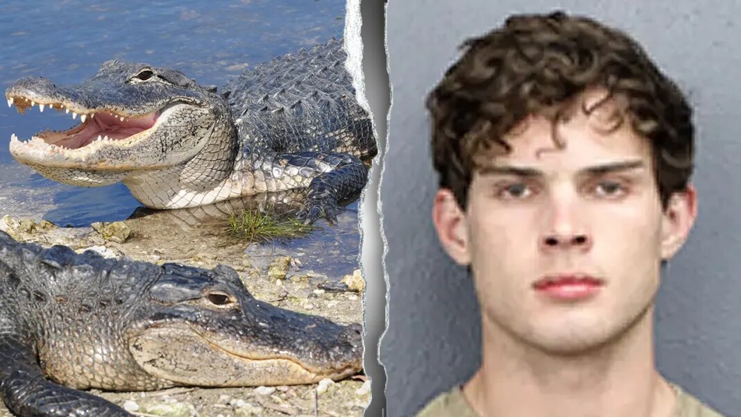 'Looksmaxxing' influencer Clavicular charged after allegedly shooting dead alligator on livestream