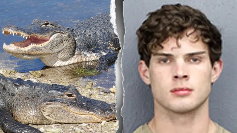Influencer Clavicular Faces Legal Trouble After Alleged Alligator Shooting on Livestream Sparks Outrage