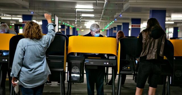 Los Angeles Democrats Seek to Open Door to Foreigners Voting in City Elections