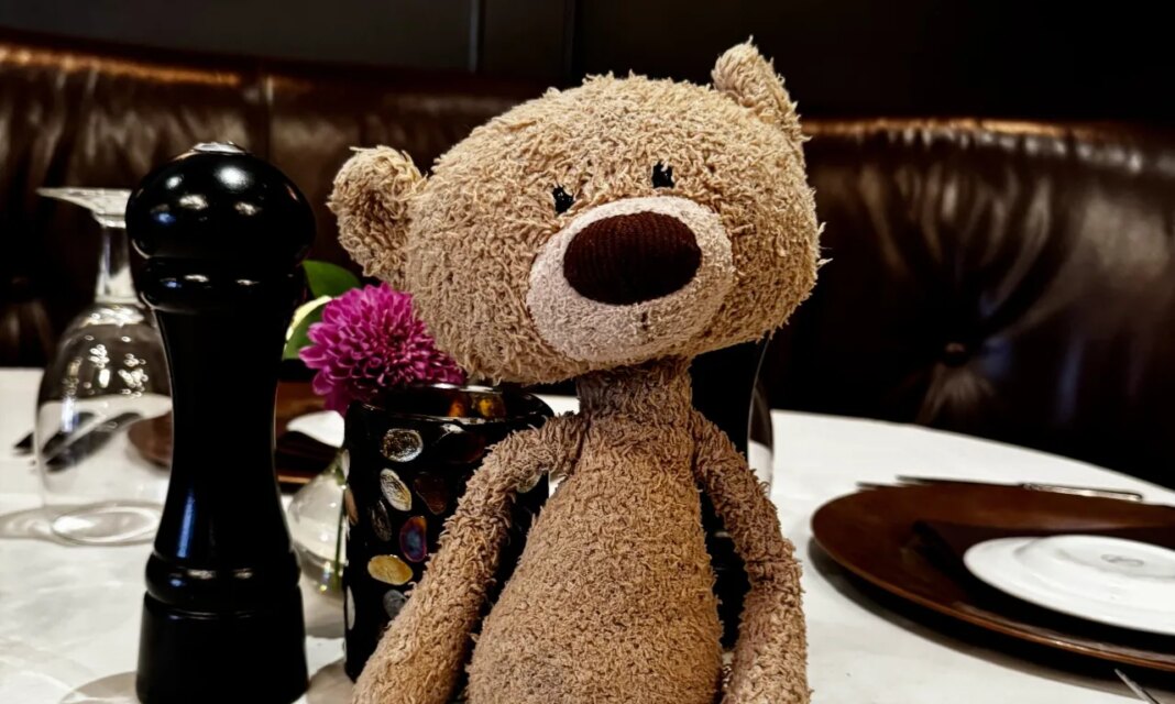 Lost teddy bear inspires event that gives back to MUSC children's hospital