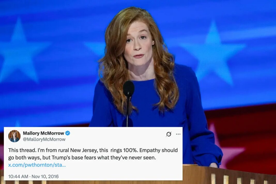 Michigan Dem Mallory McMorrow defends tweet trashing rural America, extolling coastal elites