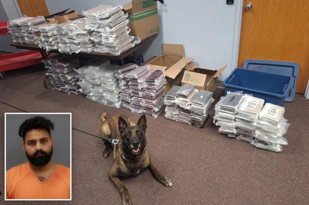 Nebraska K9 finds 525 pounds of cocaine during traffic stop, leading to California man's arrest