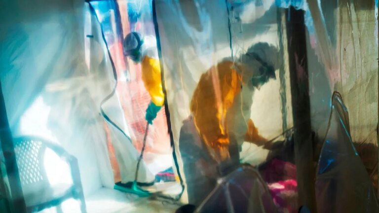 Ebola Outbreak Claims 65 Lives: Officials Alert to Potential Cross-Border Impact