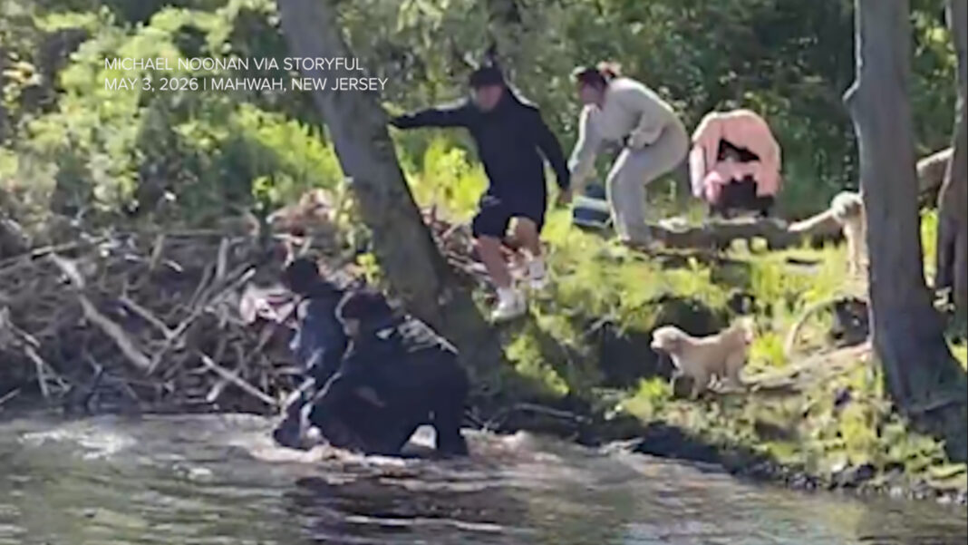 New Jersey beaver attack: 8-year-old boy injured by animal at park in Mahwah, NJ