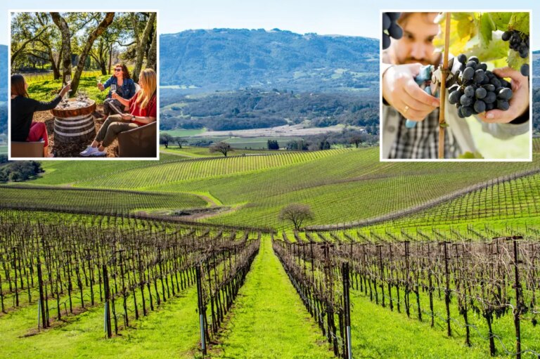 Emerging Competitor Challenges Napa Valley’s Reign as Wine Country’s Premier Destination