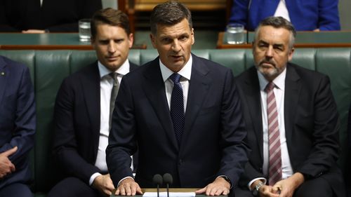Opposition pledges historic immigration cuts in bid to ward off One Nation