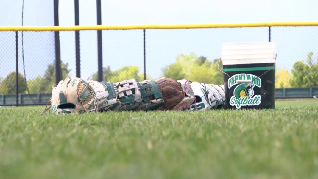 Parkland softball set to open postseason play