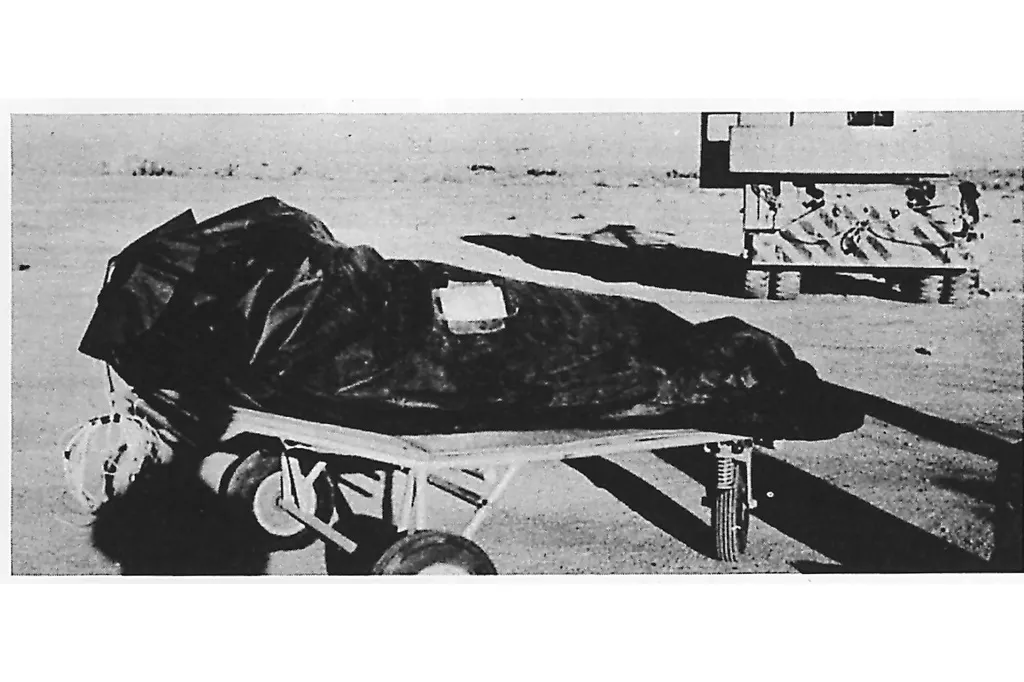 Pentagon publishes UFO file collection online, tells public to 'make up their own minds'