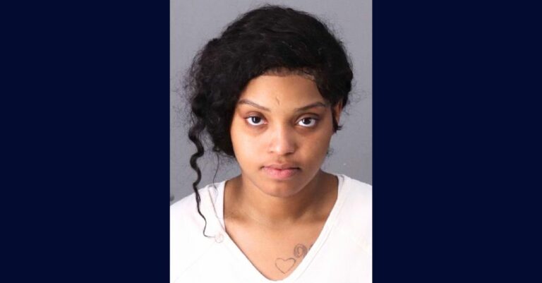 Shocking Love Triangle: Pregnant Woman Involved in Fatal Dispute Over Shared Partner