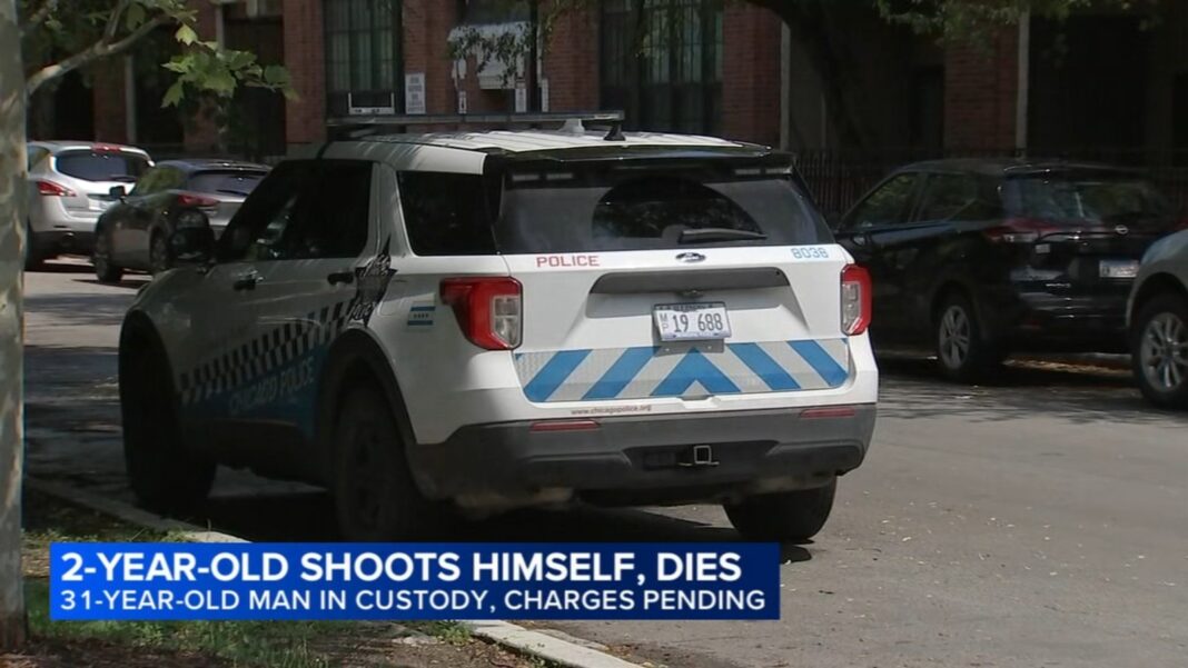 Pullman, Chicago shooting: ID released of boy, 2, who fatally shot himself in Pullman; man in custody: Chicago police say
