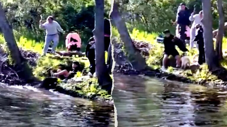 Boy Attacked by Beaver at New Jersey Lake: Health Officials Issue Warning