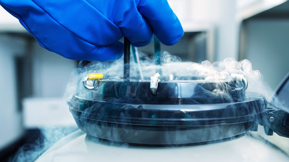 Rob, 41, reveals SPERM freezing costs - and why his wife DOESN'T know