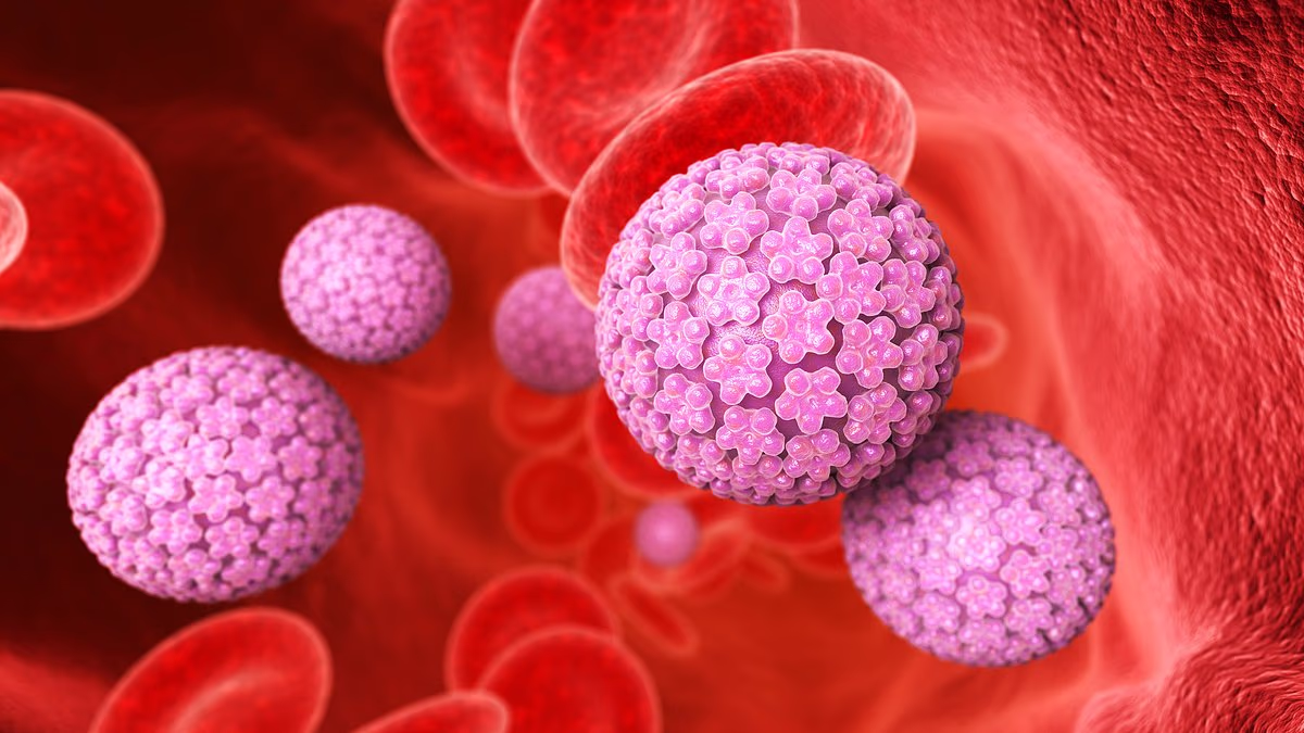 Scientists claim cervical cancer could be eradicated in the UK by 2048